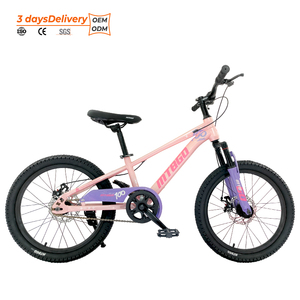 Vélo de montagne pour garçons MTBGO traditionnel, 3-15 ans, <span class=keywords><strong>20</strong></span> <span class=keywords><strong>pouces</strong></span>, acier, simple vitesse, avec amortisseur avant et panier en plastique - Product Image 3