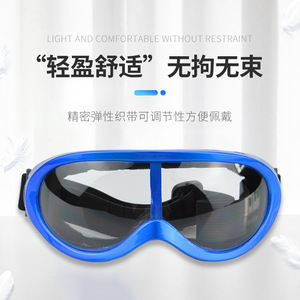 Lunettes de protection pour animaux de compagnie 3005, résistantes aux UV, coupe-vent, légères et réglables pour chats et chiens - Product Image 1
