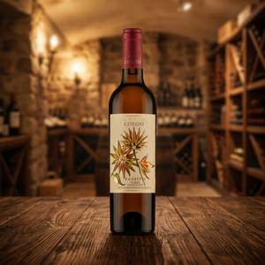 Vino de postre italiano IGP Passito de Sicilia para pastelería y foie gras 6 botellas por caja - Product Image 3