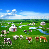 Nouvelle technologie Élevage de bovins et de moutons Les capsules intelligentes de rumen de vache d'élevage peuvent surveiller la santé du bétail en temps réel