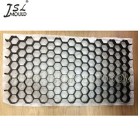 Injection En Plastique poreux grille de pavage moule