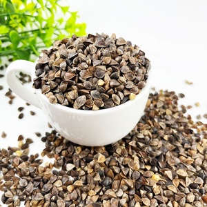 Vente flash : <span class=keywords><strong>Graines</strong></span> de <span class=keywords><strong>sarrasin</strong></span> / Noyaux de <span class=keywords><strong>sarrasin</strong></span> - Product Image 5