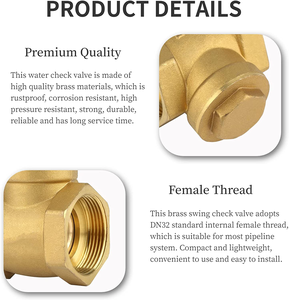 Valvola di non ritorno a pala oscillante in ottone con filettatura femmina TMOK, soluzione completa per acqua DN15-50 PN16 - Product Image 4