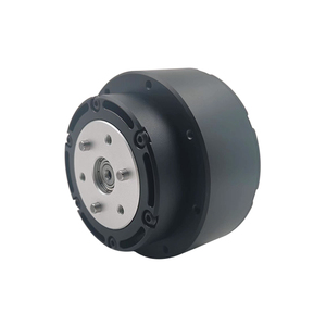 RG SP6010-36 48V mikro fırçasız Dc Out Servo Motor düz Motor Hall sensörü ile Mini fırçasız Dc Motor - Product Image 2