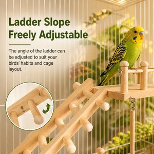 Juego de hamacas de madera para pájaros, 4 piezas, plataforma con escalera y columpio para loros y pájaros pequeños - Product Image 5