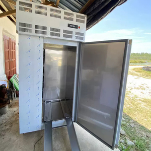 15 Bandeja Industrial <span class=keywords><strong>Irinox</strong></span> Blast Chiller Bottom Shock Freezer Refrigerador Mariscos/Pizza No Frost -40 ℃ Blast Freezer con carro - Product Image 5