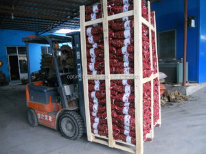 Mejores Castañas Frescas Chinas <span class=keywords><strong>de</strong></span> Nueva Cosecha 2024, Venta al por Mayor <span class=keywords><strong>de</strong></span> Castañas Frescas con Cáscara, Suministro Directo <span class=keywords><strong>de</strong></span> Fábrica - Product Image 4