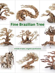 Bois flotté d'aquarium brésilien, mousse, fait à la main, naturel, fin, aménagement paysager d'aquarium, bonsaï avec système de racines de pin - Product Image 6
