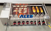 Machine à rôtir le maïs multifonctionnelle automatique, four rotatif à gaz pour la cuisson du maïs, taille compacte, facile à utiliser pour les snack-bars