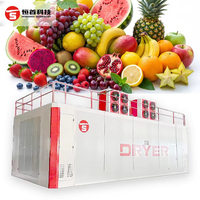 Machine de séchage industrielle pour fruits et légumes, séchoir à fruits, séchoir à légumes, séchoir à convoyeur