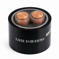 Câble d'alimentation blindé YJV22 2 conducteurs 35mm² 0,6/1kV, câble de distribution souterrain basse tension 2*35