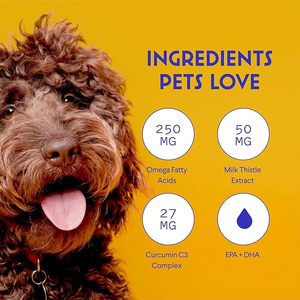 Apoyo Hepático con Cardo Mariano <span class=keywords><strong>para</strong></span> <span class=keywords><strong>Perros</strong></span>, Función Renal, Apoyo Hepático, Omega 3, EPA, DHA, Gotas, Apoyo Inmunológico, OEM/ODM - Product Image 3