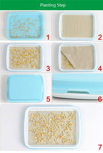 Plateau de culture hydroponique Plateau de <span class=keywords><strong>germination</strong></span> <span class=keywords><strong>Plaque</strong></span> de <span class=keywords><strong>germination</strong></span> à double couche Plateau de <span class=keywords><strong>germination</strong></span> de semis - Product Image 4