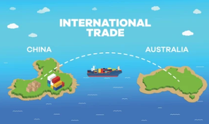 Expédition maritime de port à port : Lautoka, Guam, Niue, Papeete, Saipan, Bell Bay, Santo, Honiara, Vila, Nukualofa, Apia, Lae, Moresby, Suva, Nouméa - Product Image 6