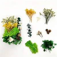 Kit de fleurs séchées vertes en boîte : mousse de renne, eucalyptus, cône de pin pour bougies parfumées DIY, couronne de Noël, décoration artisanale