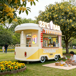 Wheeled Lightweight Electric Food Cart Customizable Size Color Luxury Fashionable Design for Cotton Candy Sweets <b>Confectioneries</b> - Product Image 1