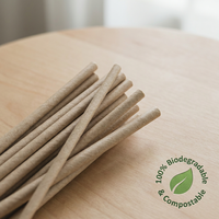 Pailles en papier BIOPOLY écologiques avec logo personnalisé, biodégradables, compostables, 200 mm, pour cafés modernes, restaurants, bars, fêtes, vente en gros