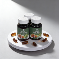 GANOHERB Capsules pour adultes Reishi Ganoderma Extrait de melon amer Énergie naturelle Complément alimentaire à base de plantes Certifié biologique Marque privée