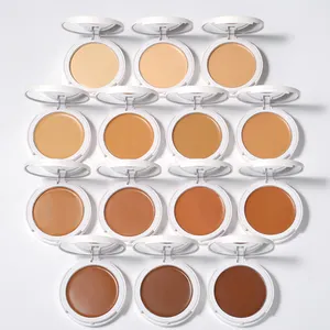 14 Colors Private Label High Definition Vegan Full Coverage Light To Dark Skin Concealer Cream Contour Foundation