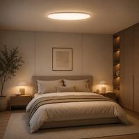 Plafonnier LED Rond Ultra-Mince à Montage en Saillie pour Chambre à Coucher, Appartement, Éclairage Intérieur – Vente en Gros, Approvisionnement B2B