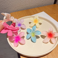 <strong>Best</strong> <strong>Selling</strong> Plastic <strong>Flower</strong> Girl Side Clamping Hair <strong>Clip</strong> Multiple Color Summer Beach Sweet Hair Claw <strong>Clips</strong> for Women