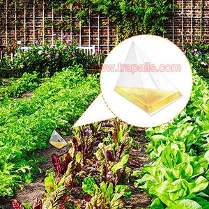 Trampa para Caracoles y Babosas Desechable, Ecológica, Transparente, <span class=keywords><strong>de</strong></span> PE Ligero, para Jardín y Exteriores, Control <span class=keywords><strong>de</strong></span> Insectos - Product Image 3