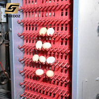 Cages pour poules pondeuses, équipements d'élevage, batterie pour poules, poulailler, équipement avicole galvanisé, élevage, ferme à œufs, cage pour poulets