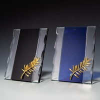 Trophées en cristal personnalisés IDEAL, plaques gravées pour récompenses d'honneur, certificats de licence, cadeaux