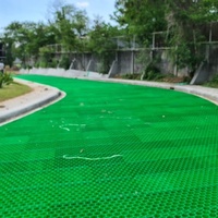 Fabricant chinois Bon prix Gravel Paver