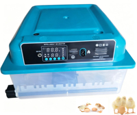 Incubateur d'œufs de caille mini format en promotion, taux d'éclosion élevé, retournement automatique, économie d'énergie, double tension, contrôle double de la température et de l'humidité