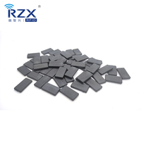 Lavable impermeable 125Khz 12*22*3MM T5577 PPS Material para sistema de lavado de ropa