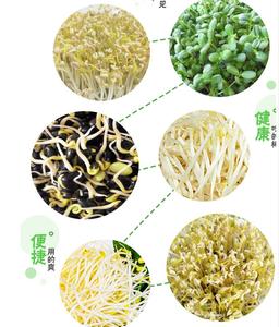 Maquinaria de Alta Calidad y Gran Capacidad para el Cultivo de Brotes de Cebada, Máquina para Hacer Brotes de Frijol en Venta - Product Image 2