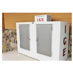 2 Doors Indoor Ice Merchandisers Bagged Ice 85 Cu. Ft. Capacity Ice Freezer