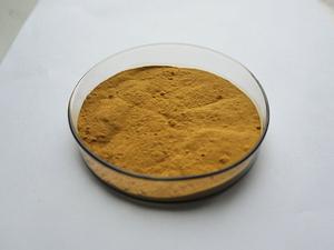 Çin fabrika kaynağı rekabetçi fiyat organik saf yonca tozu - Product Image 3