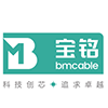 Guangdong Baoming Industrial Technology Co., Ltd.