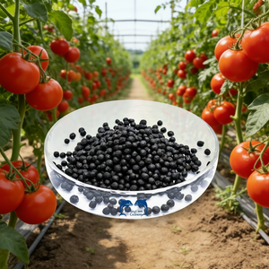 Fertilizante Granular de Algas Marinas Orgánicas con Aminoácidos para Aplicación Foliar, 100% Puro - Product Image 1