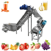 Productielijn voor het maken van fruitsap, sinaasappel-, appel-, gember-, mango-, citroen- en ananassap met koudgeperste sapcentrifuge.