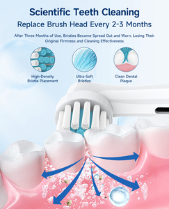 Têtes de brosse à dents électriques EB17-TS, poils souples, lot de 4, compatibles avec les marques les plus réputées, pour adultes - Product Image 3
