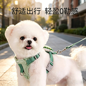 Small <b>dog</b> <b>leash</b>, harness, vest-style <b>leash</b> for Teddy <b>dogs</b> and Bichon Frises. - Product Image 5