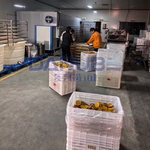 Four de séchage professionnel à pompe à chaleur pour oranges, machine de séchage d'agrumes, équipement de déshydratation de fruits - Product Image 1