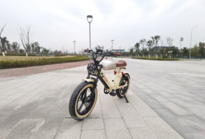 Vélo électrique à pneus larges à suspension intégrale 20 pouces, 48V 15Ah, double batterie, vélo électrique rapide <span class=keywords><strong>73</strong></span> - Product Image 6