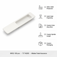 Manija Empotrada de Aluminio 65.22.091, Tirador Empotrado para Puerta Corredera de Vidrio y Metal, Diseño Moderno para Uso en Villas y Cocinas