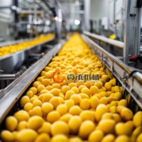 Mangosap Maken Machine Appelananassap Verwerkingslijn Kant En Klare Complete Mangosap Nfc Drank Productielijn