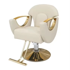 Silla de Barbería de Acero Inoxidable en Oferta, Silla de Peluquería para Coloración y Corte de Cabello - Product Image 1