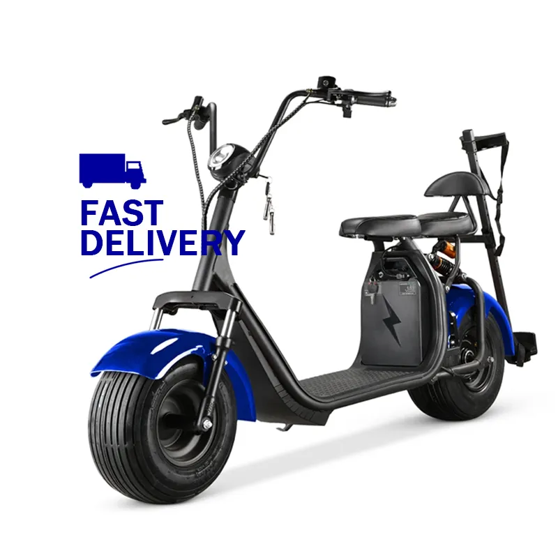 Whosale China Long Range 18650 Lithium Batterie Chopper Citycoco 60V 20Ah 3000W 2000W Electric Golf Scooter