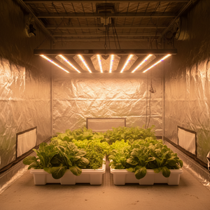 Lampe de culture LED 720W Samsung LM301H EVO LM281B 720 Watt, spectre complet, vente en gros, lampe de culture LED la plus vendue pour serre intérieure - Product Image 1