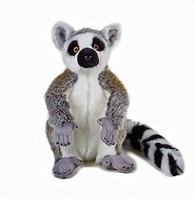 Cadeau de désir pour enfant animal sauvage Peluche personnalisée lémurien PV en peluche
