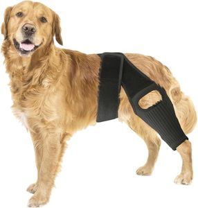 <span class=keywords><strong>Rodilleras</strong></span> de Soporte <span class=keywords><strong>para</strong></span> <span class=keywords><strong>Perros</strong></span> con LCA, <span class=keywords><strong>para</strong></span> <span class=keywords><strong>Perros</strong></span> <span class=keywords><strong>Pequeños</strong></span>, Medianos y Grandes, Patas Traseras y Delanteras, Displasia de Cadera, Artritis, Protector de Rodilla <span class=keywords><strong>para</strong></span> Mascotas - Product Image 1