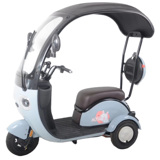 Covered Three-Wheel Electric Scooter with Roof Compact Electric Tricycle