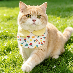 Pañuelo floral para mascotas, decoración linda para gatos y perros en verano - Product Image 4